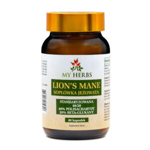 Lion’s Mane Soplówka Jeżowata 40% polisacharydów 20% beta-glukanów My Herbs