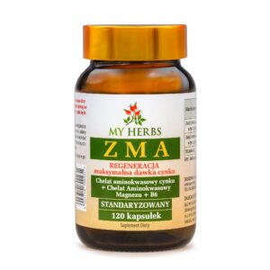 My Herbs ZMA chelat cynku magnezu i witamina B6 120 kapsułek
