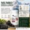 Mumio himalajskie Shilajit Aliness